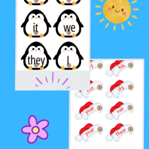 Pronouns - Subject And Possessive!