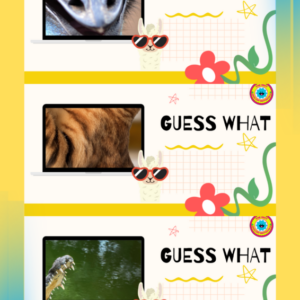 Guess - Pictures - Animals
